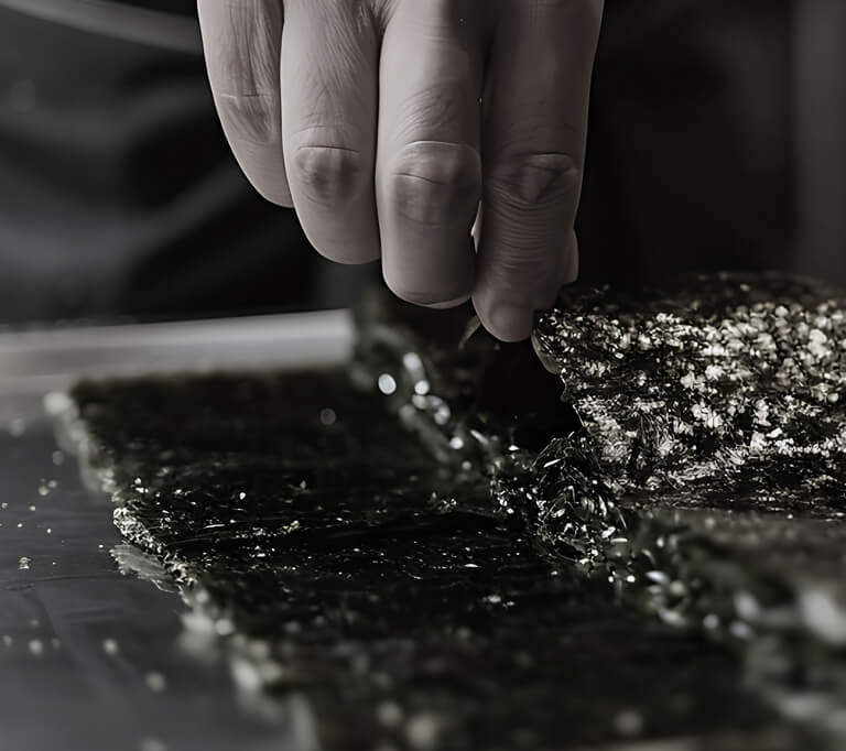 わたしたちについて